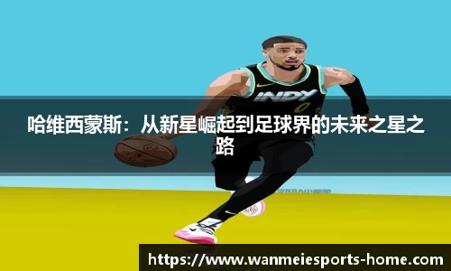 完美电竞